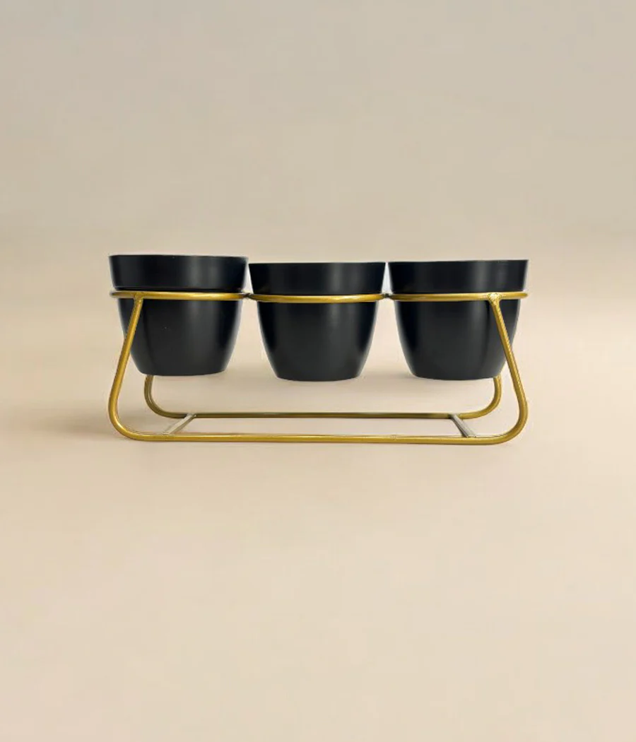 Desktop Pot Trio - Image 3