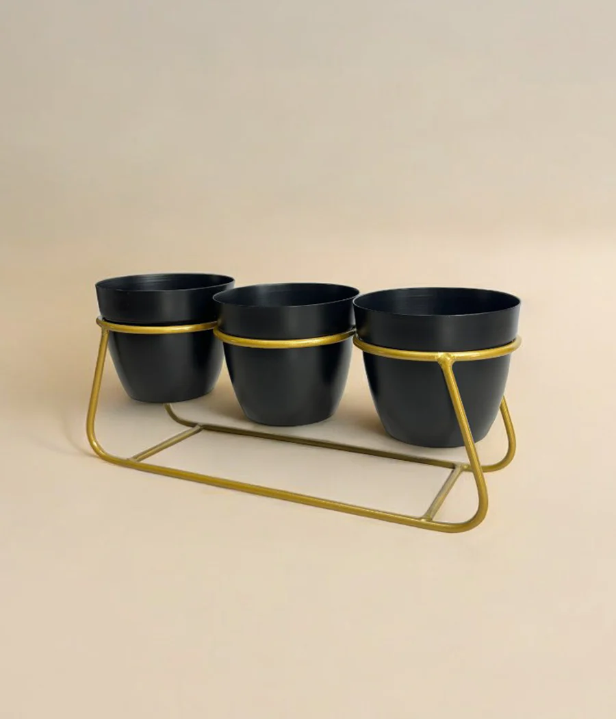 Desktop Pot Trio - Image 8