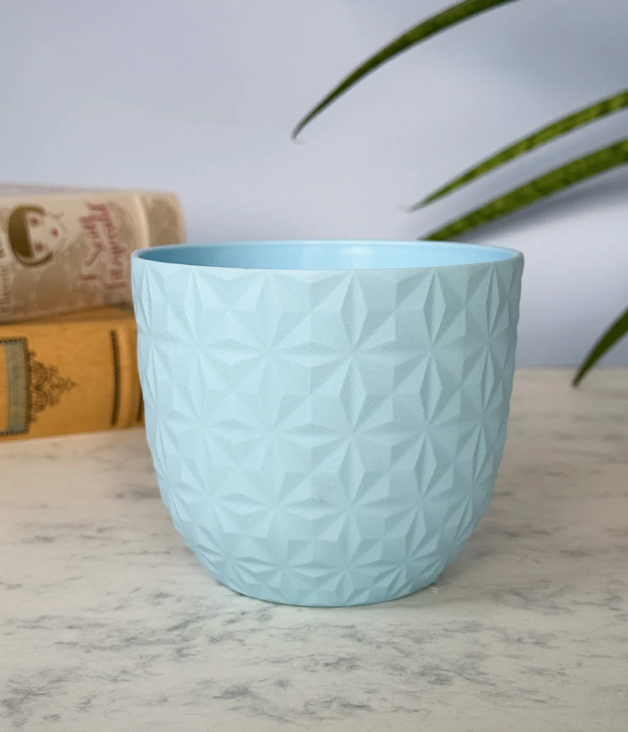 DIAMOND PLANTERS - Image 4
