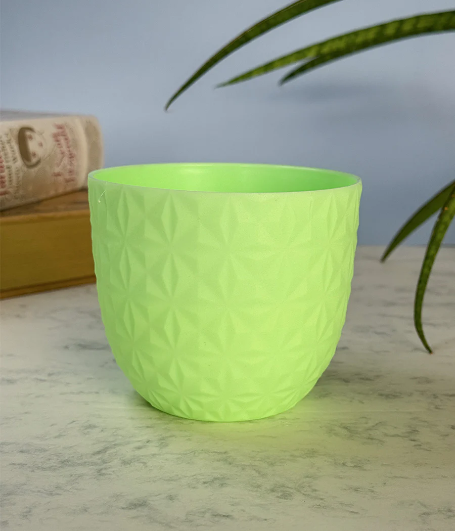 DIAMOND PLANTERS - Image 7