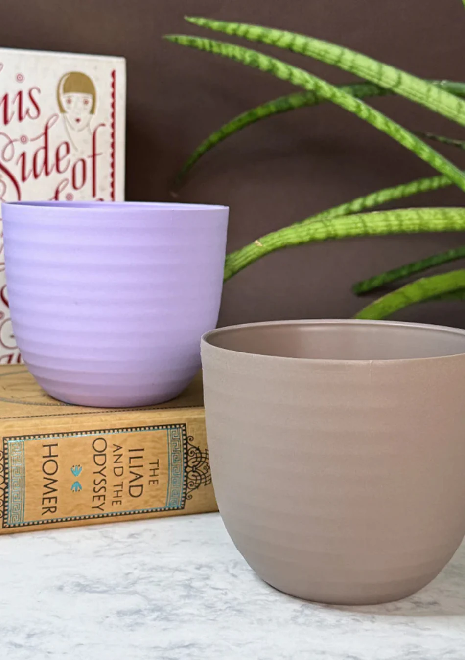 Duo Pastel Planter - Image 3