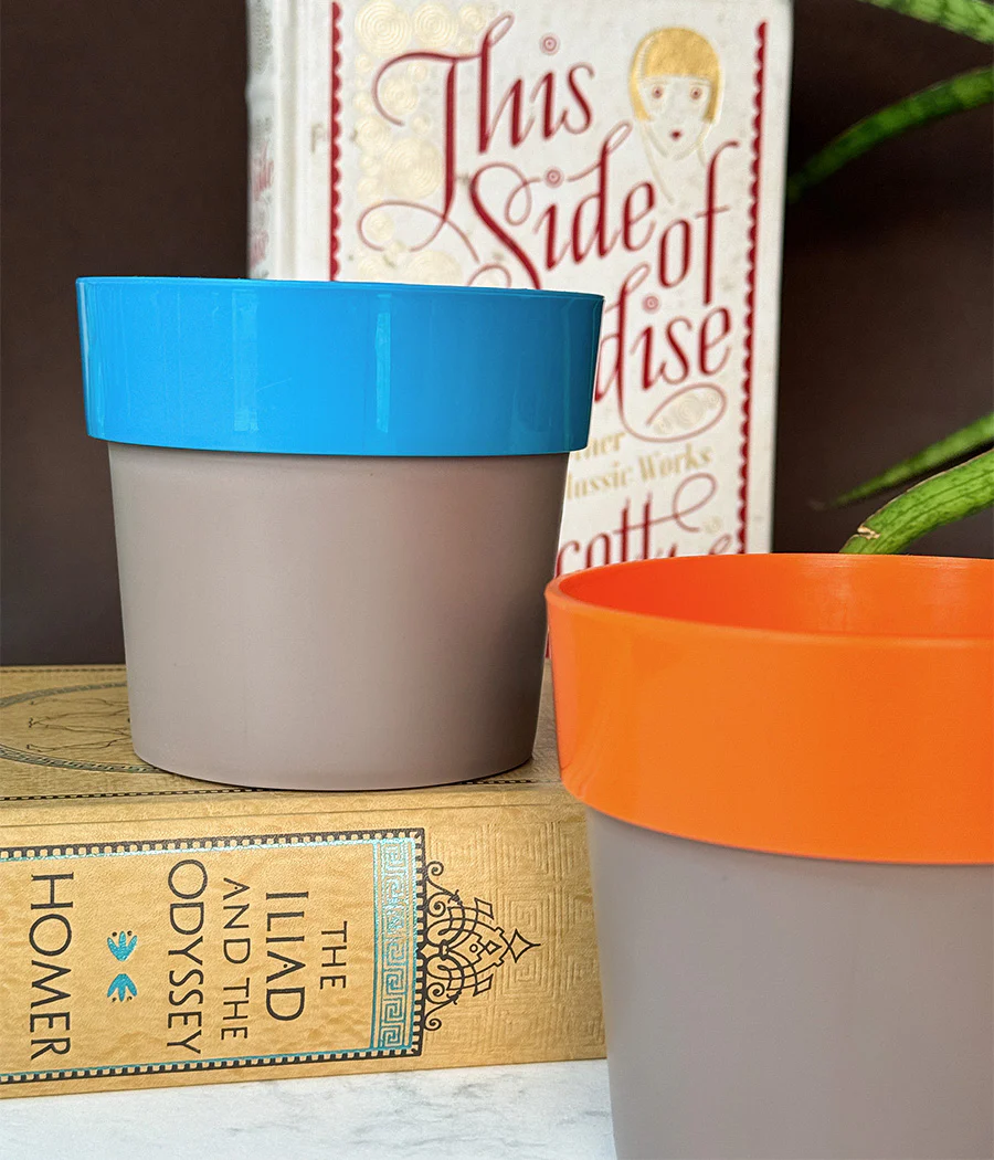 Duo Sunny-side Planter - Image 2