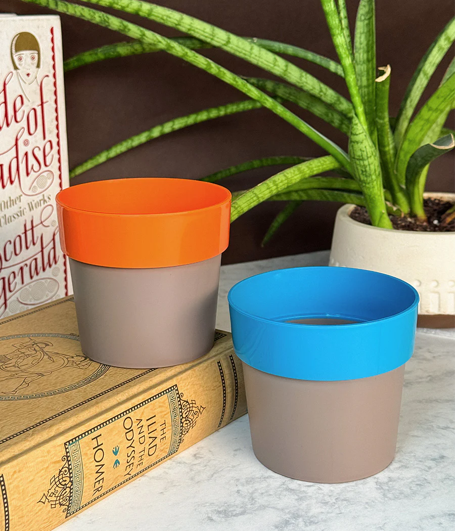 Duo Sunny-side Planter - Image 5