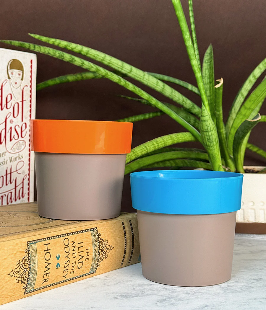 Duo Sunny-side Planter - Image 6