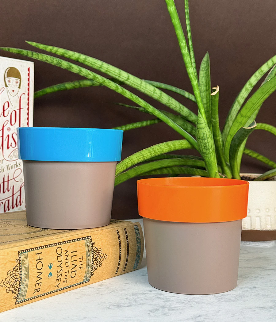 Duo Sunny-side Planter - Image 7