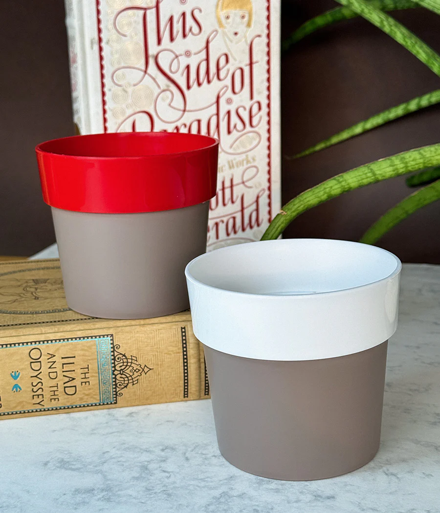 Duo Sunny-side Planter - Image 3