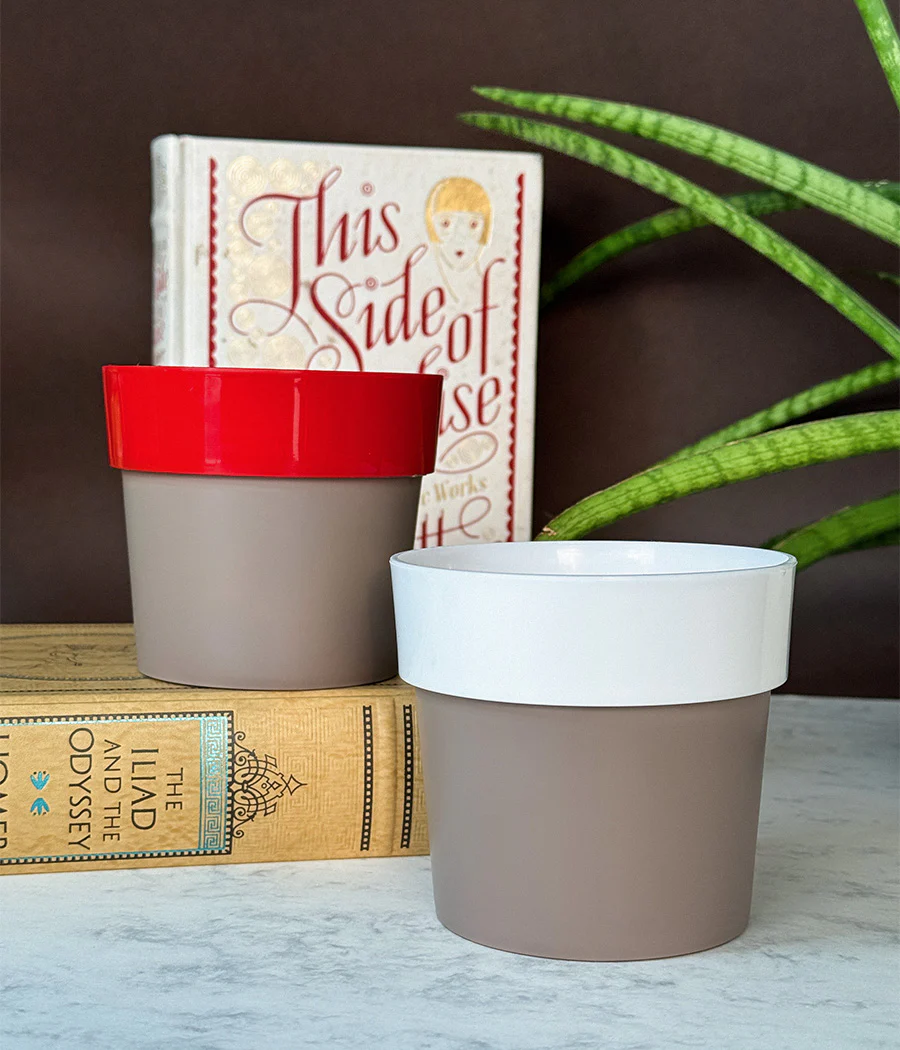 Duo Sunny-side Planter - Image 4