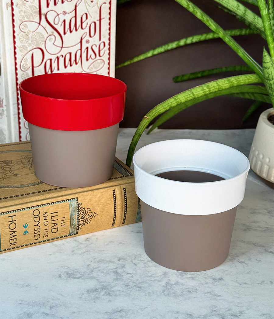 Duo Sunny-side Planter - Image 5