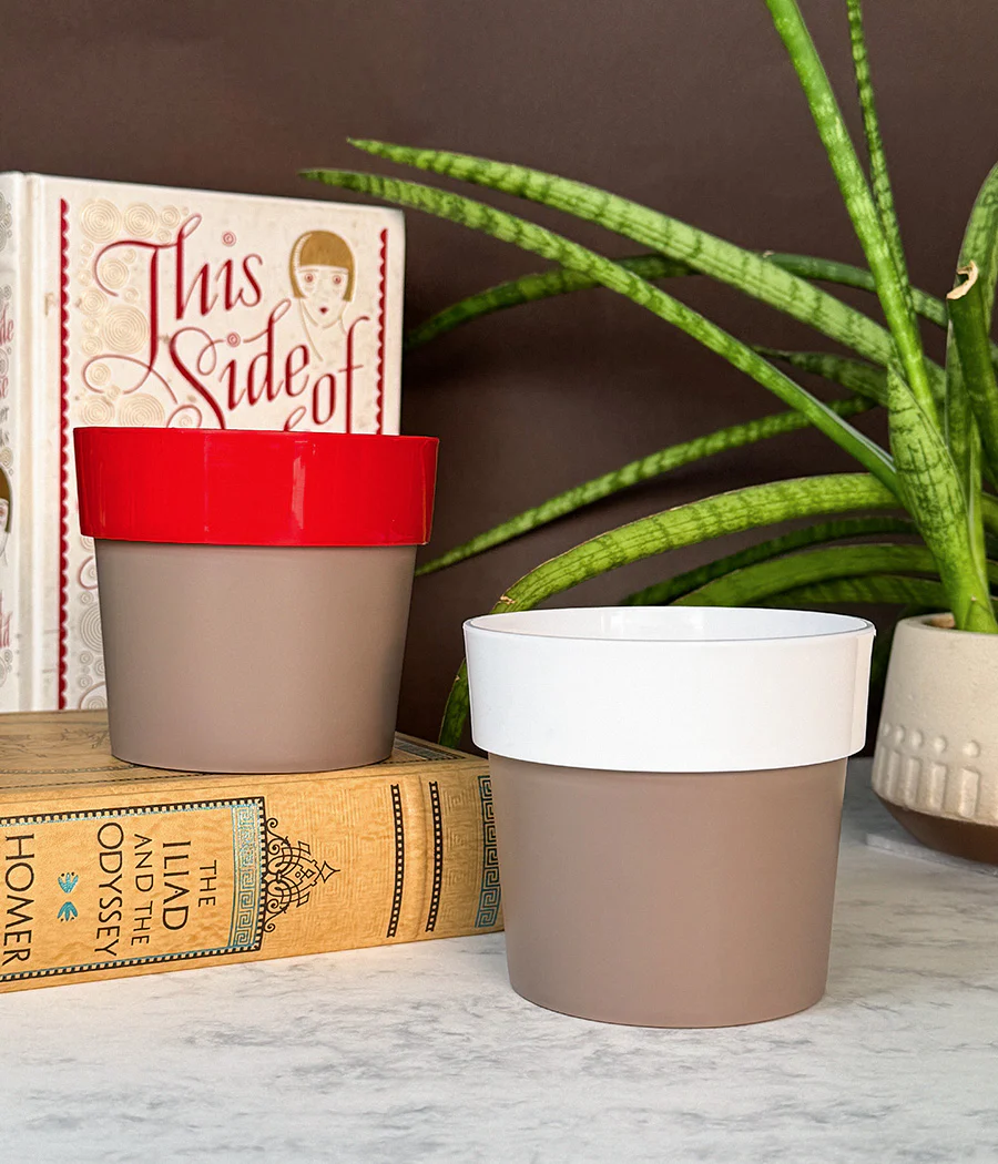 Duo Sunny-side Planter - Image 6