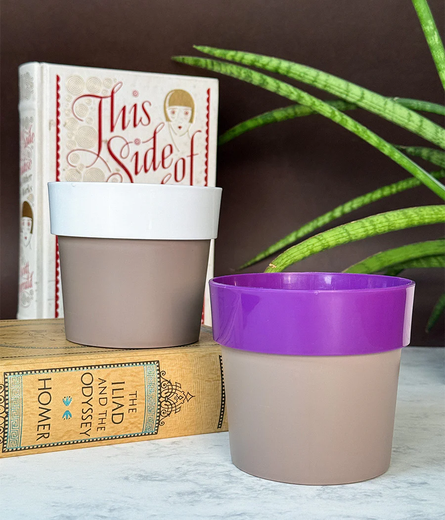 Duo Sunny-side Planter - Image 5