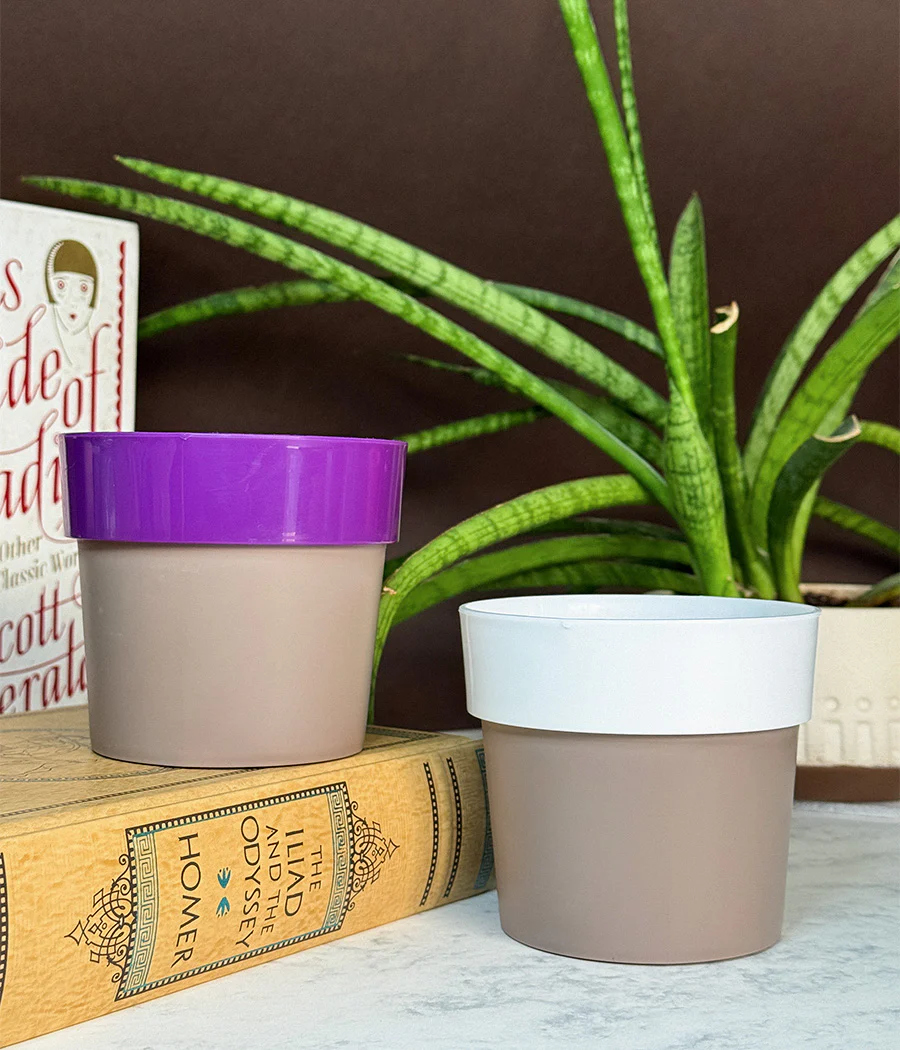 Duo Sunny-side Planter - Image 7