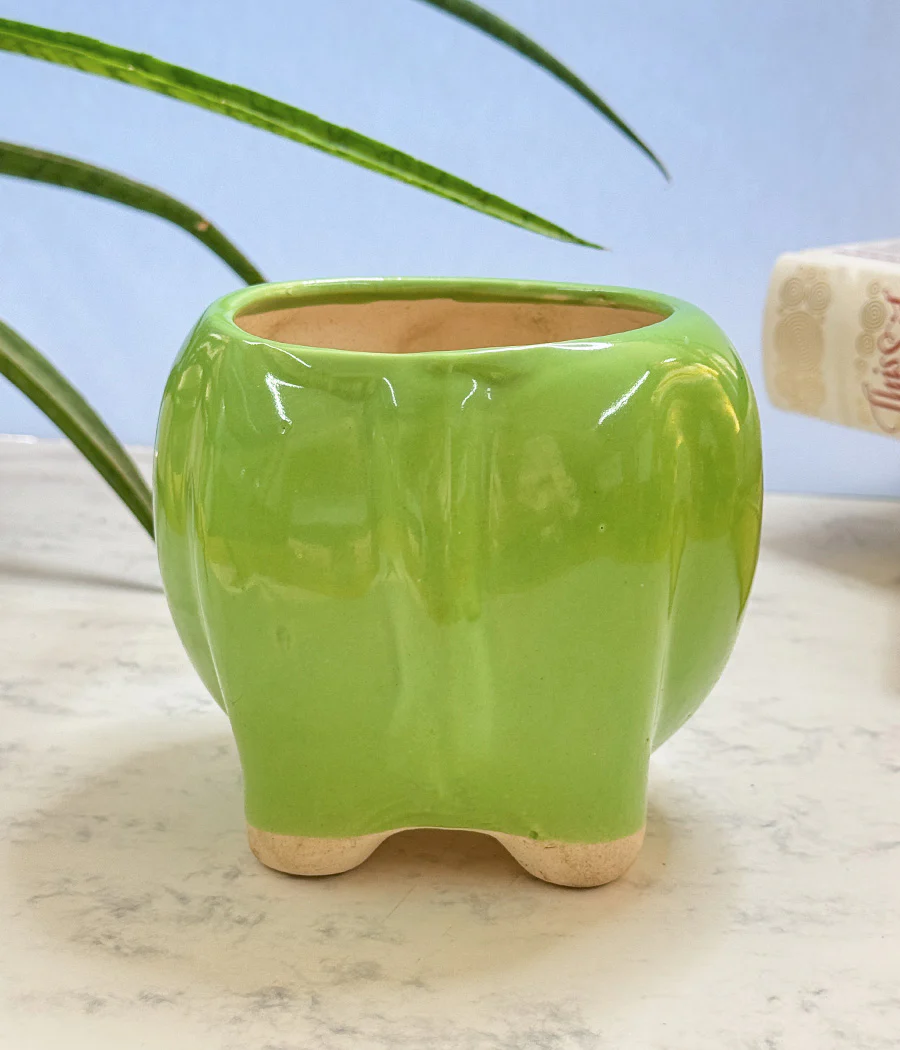 Elephant Ceramic Pot - Image 5