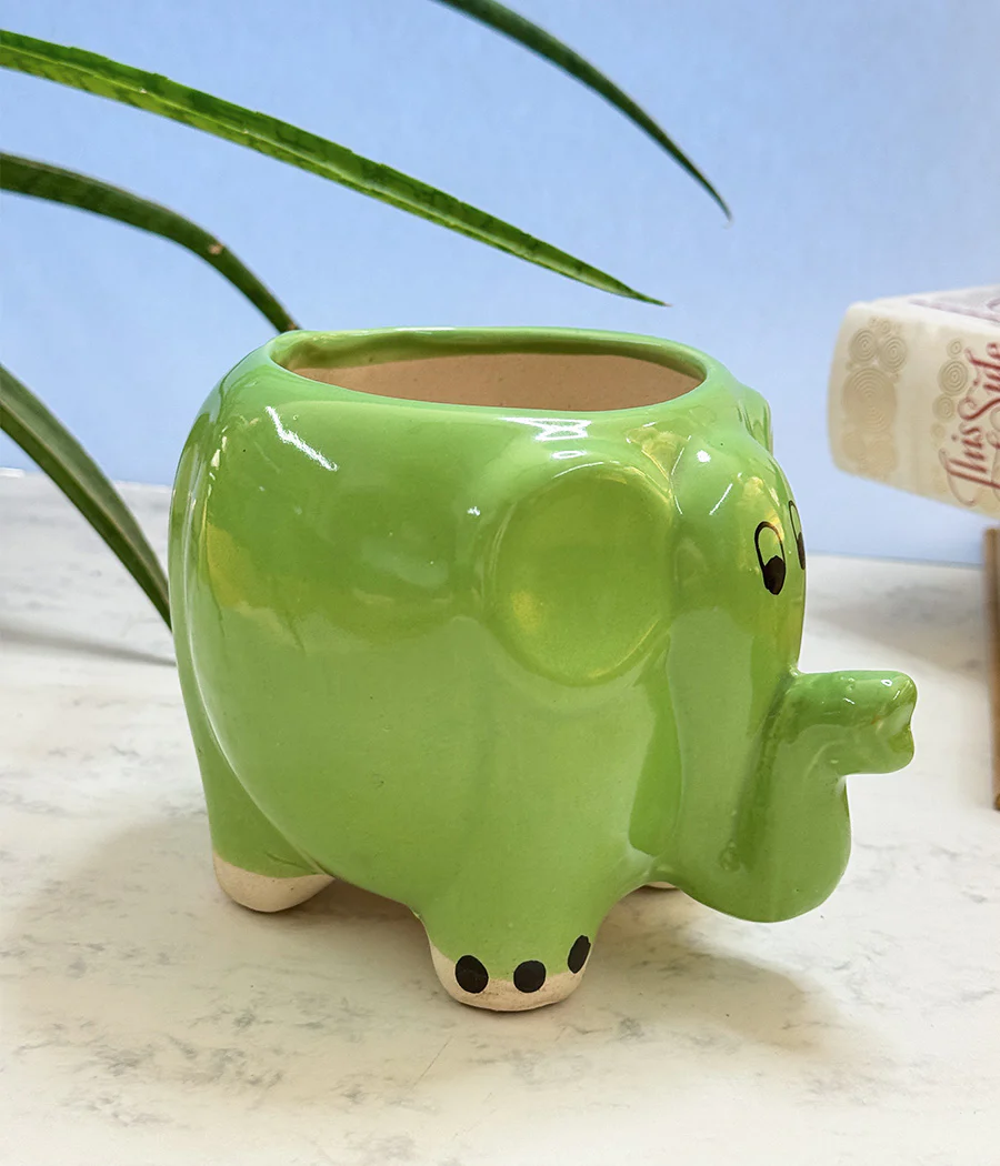 Elephant Ceramic Pot - Image 6