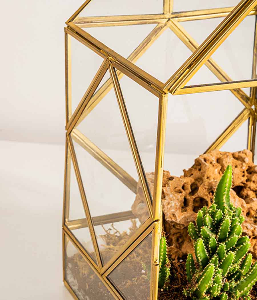 Geneva Terrarium - Image 4