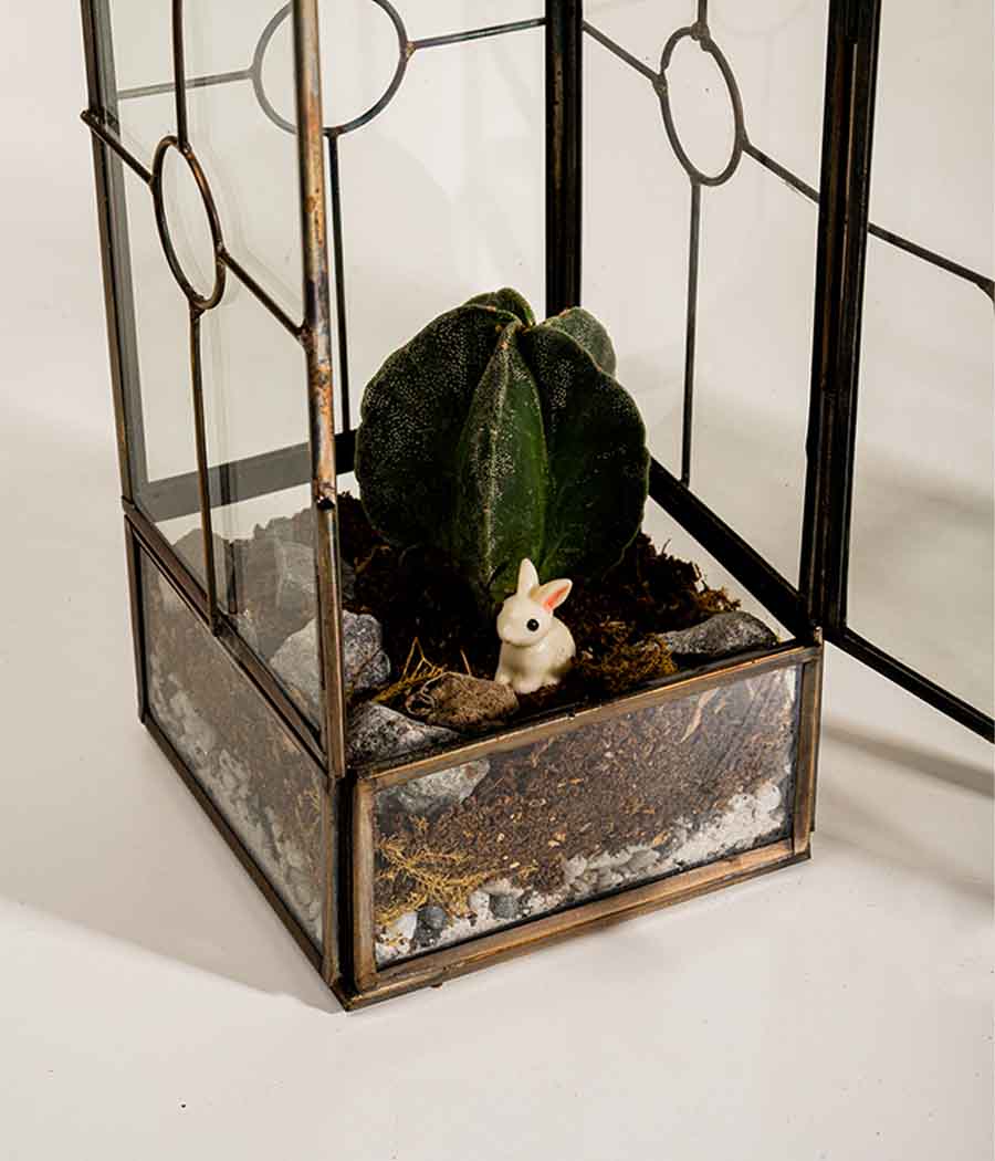 Nairobi Terrarium Tall - Image 2