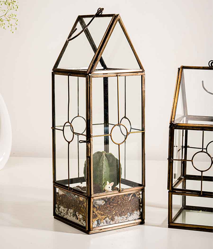Nairobi Terrariums - Set of 2 - Image 5