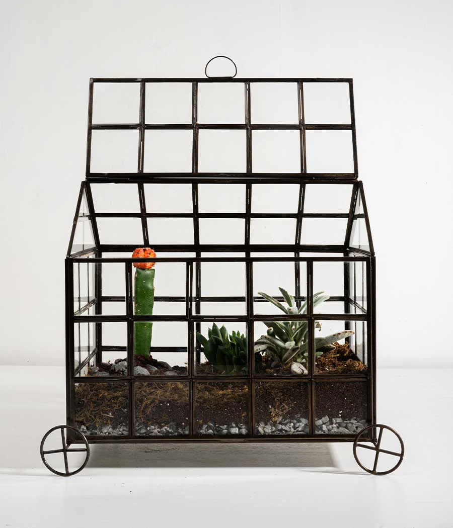 Odessa Terrarium