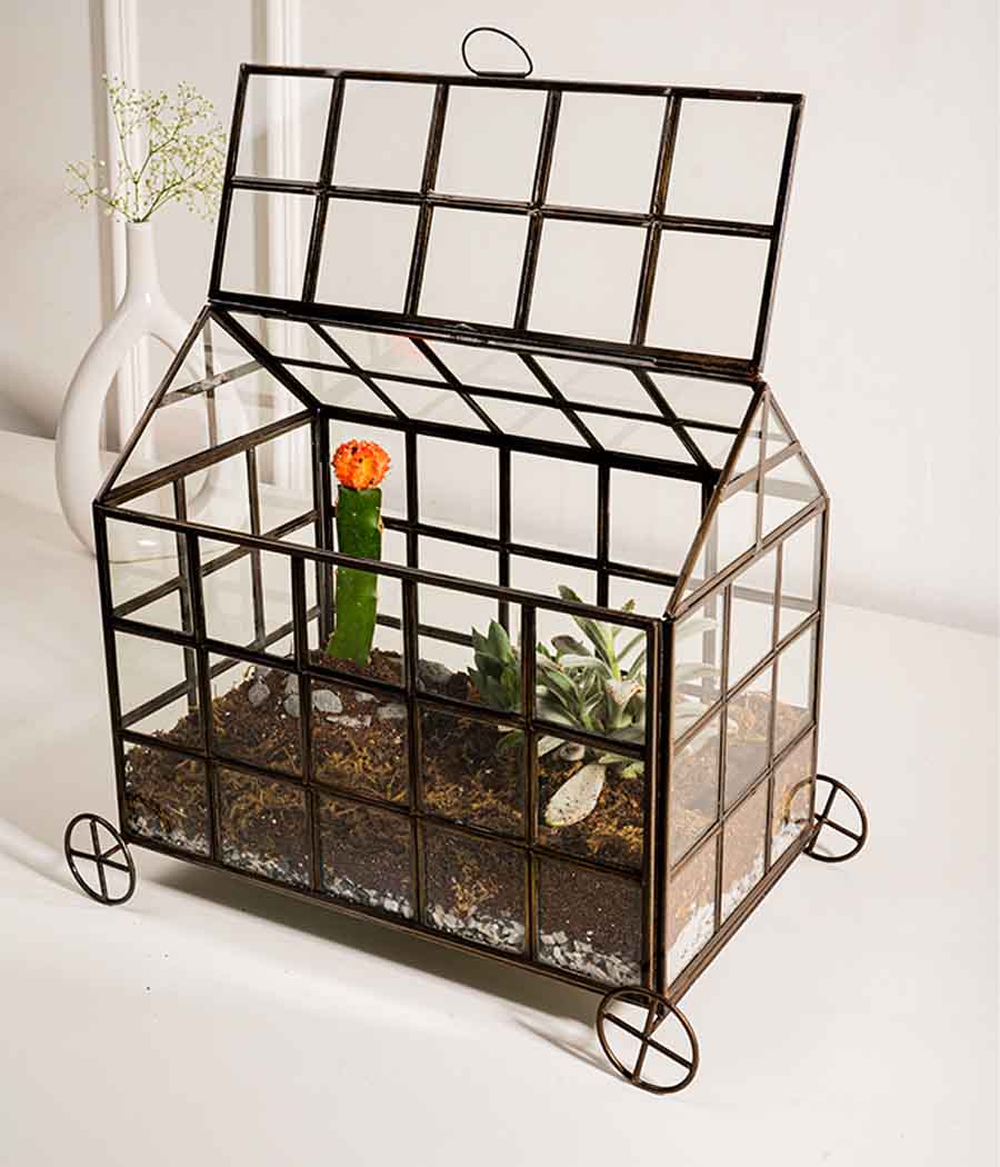 Odessa Terrarium - Image 2