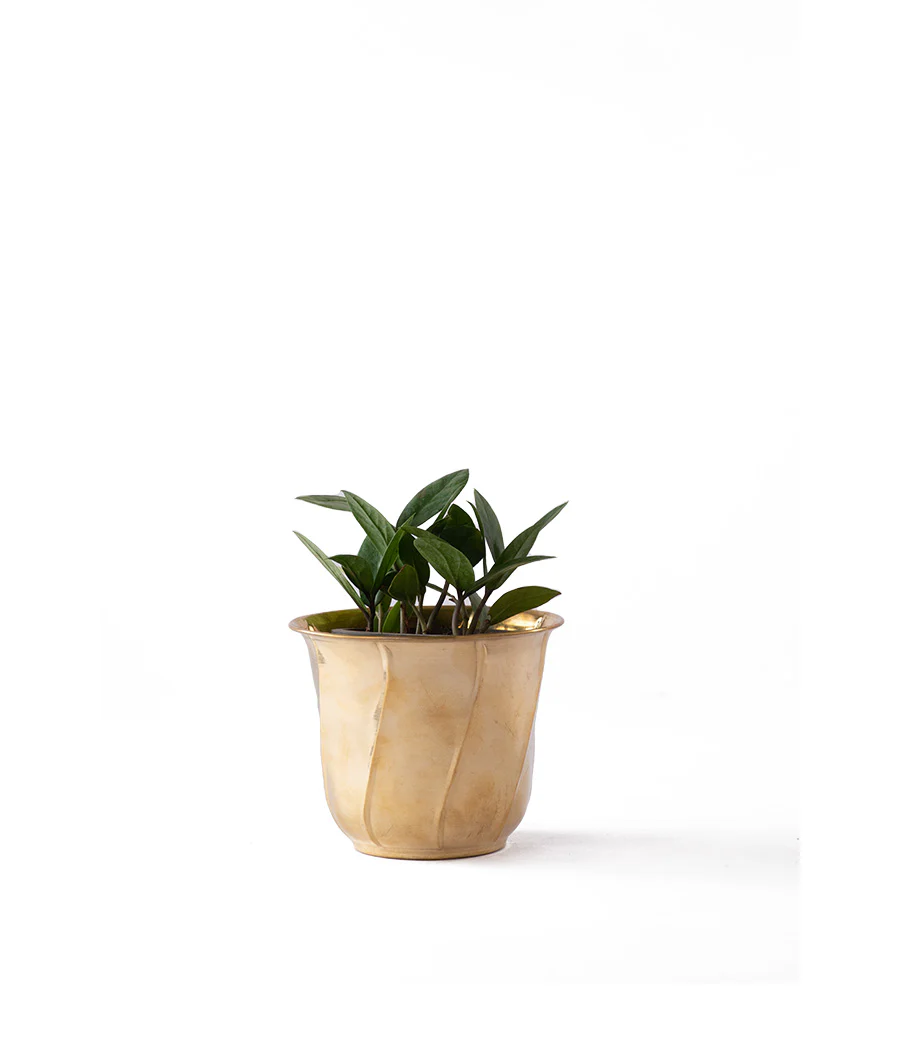 Twisted Brass Planter small - Image 3