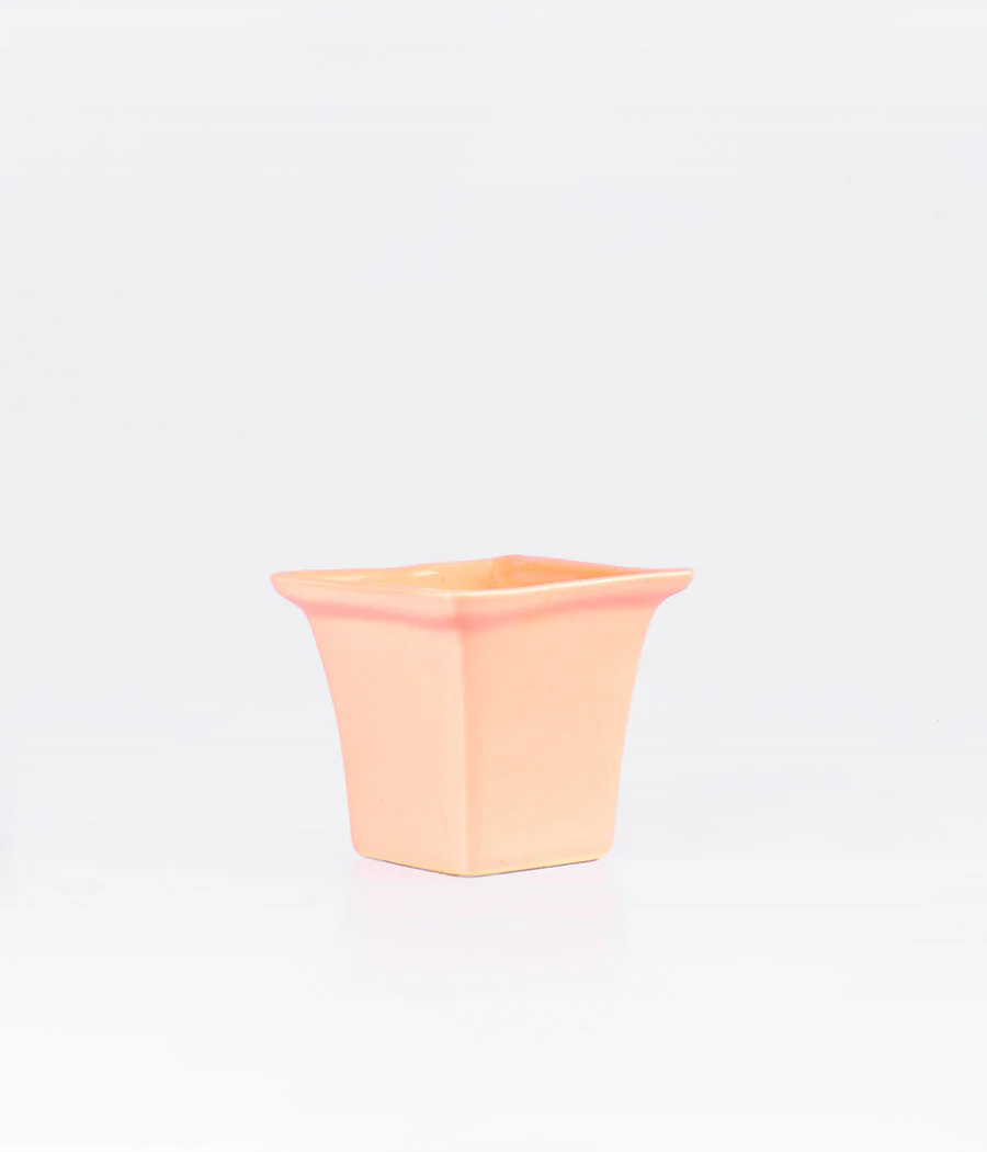 Pink Colour Ceramic Planter