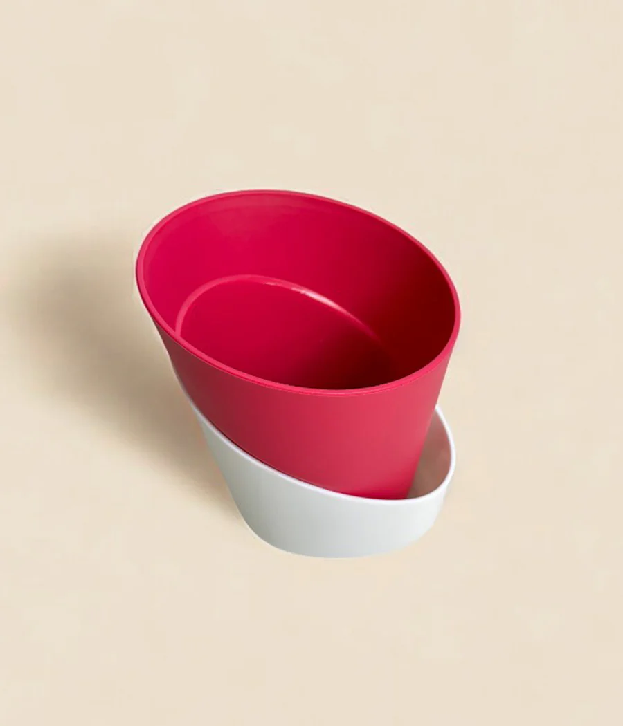 Self Watering Planter - Image 5
