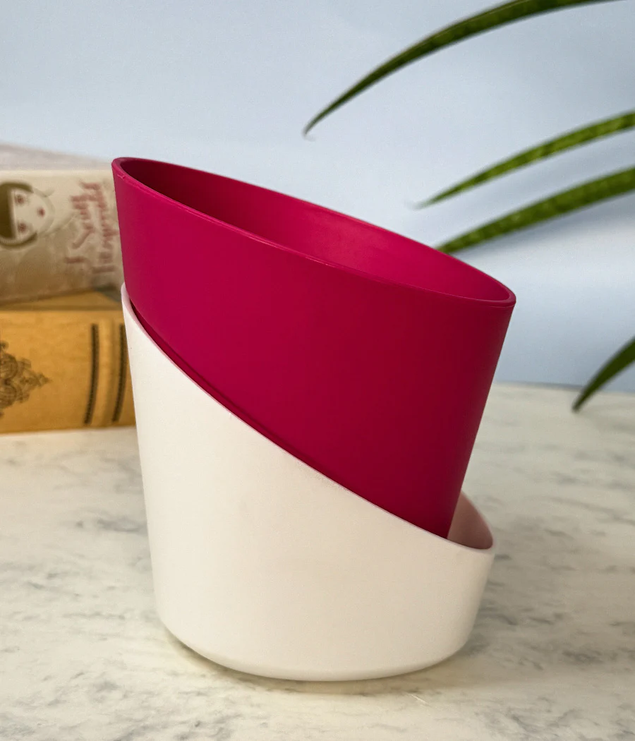 Self Watering Planter - Image 6