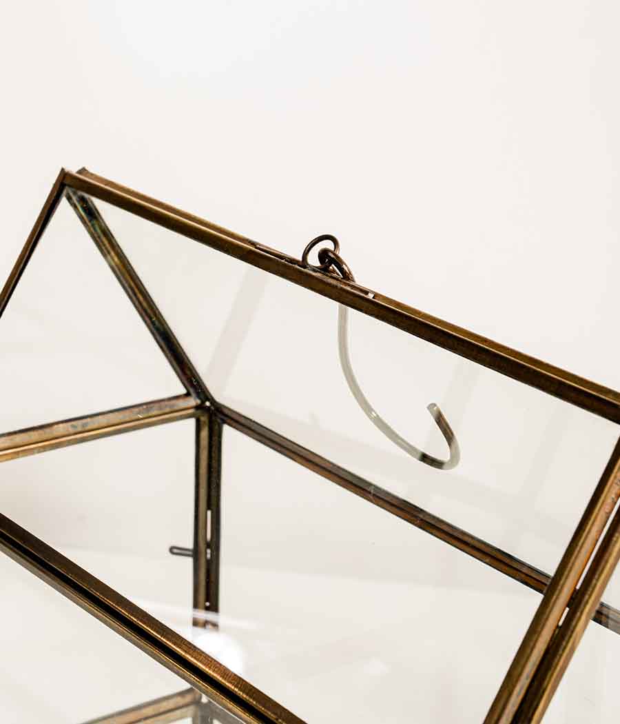 Shillong Terrarium - Image 2