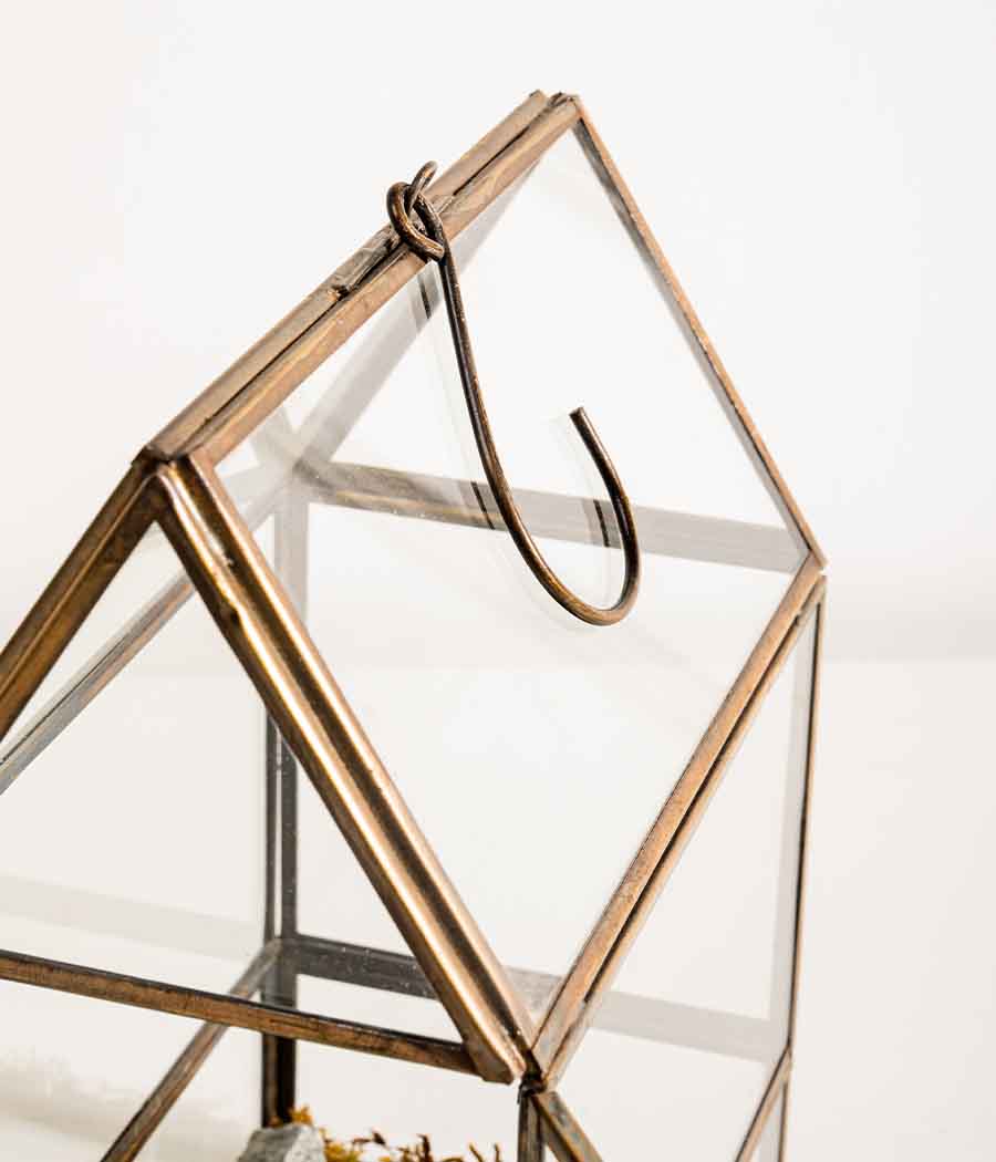 Shillong Terrarium - Image 3