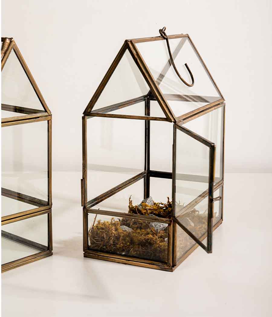 Shillong Terrariums - Set of 2 - Image 2