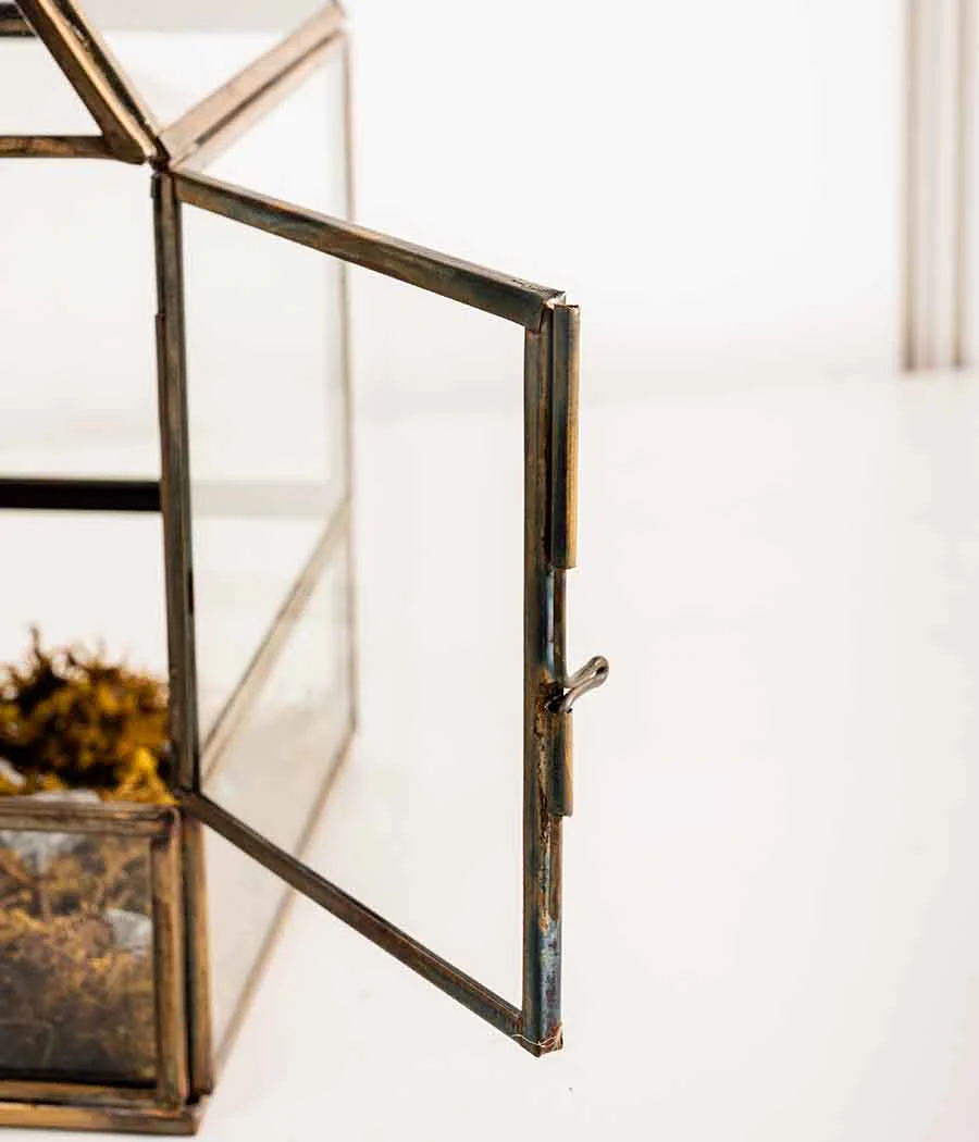 Shillong Terrariums - Set of 2 - Image 4