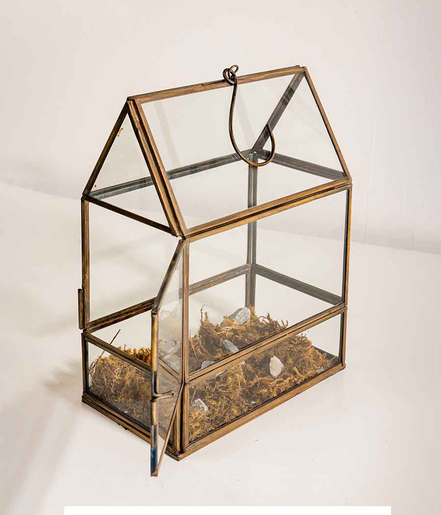 Shillong Terrariums - Set of 2 - Image 5