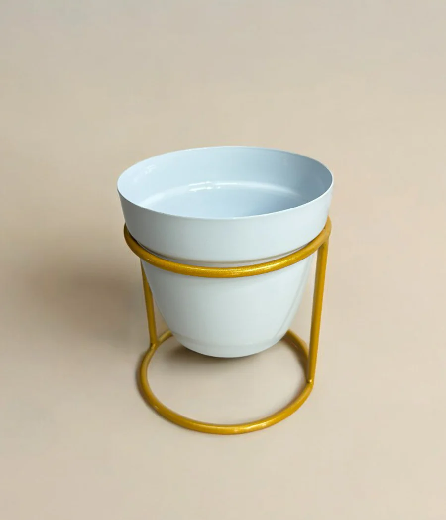 Single Mini Desk Planter With Golden Stand - Image 3
