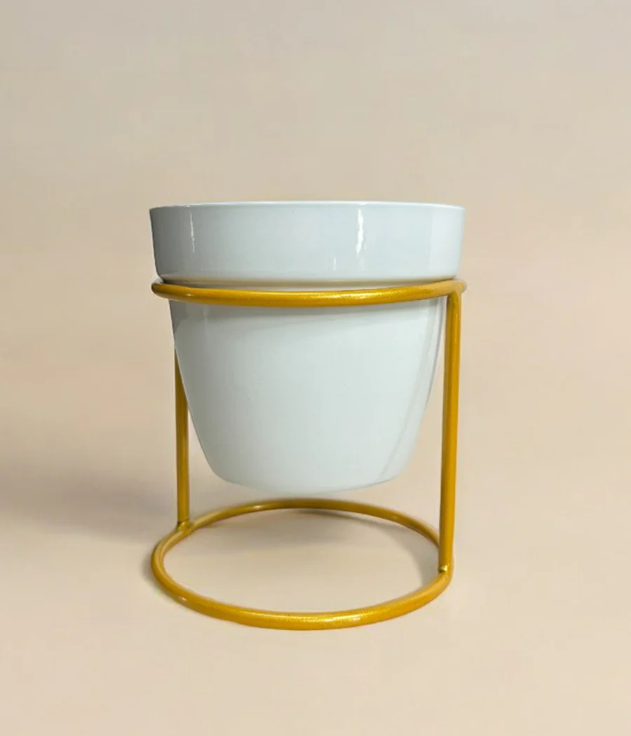 Single Mini Desk Planter With Golden Stand - Image 4