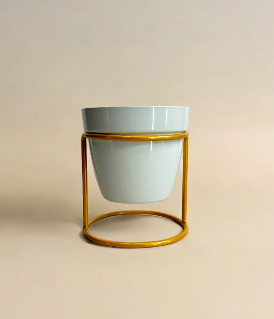 Single Mini Desk Planter With Golden Stand - Image 6