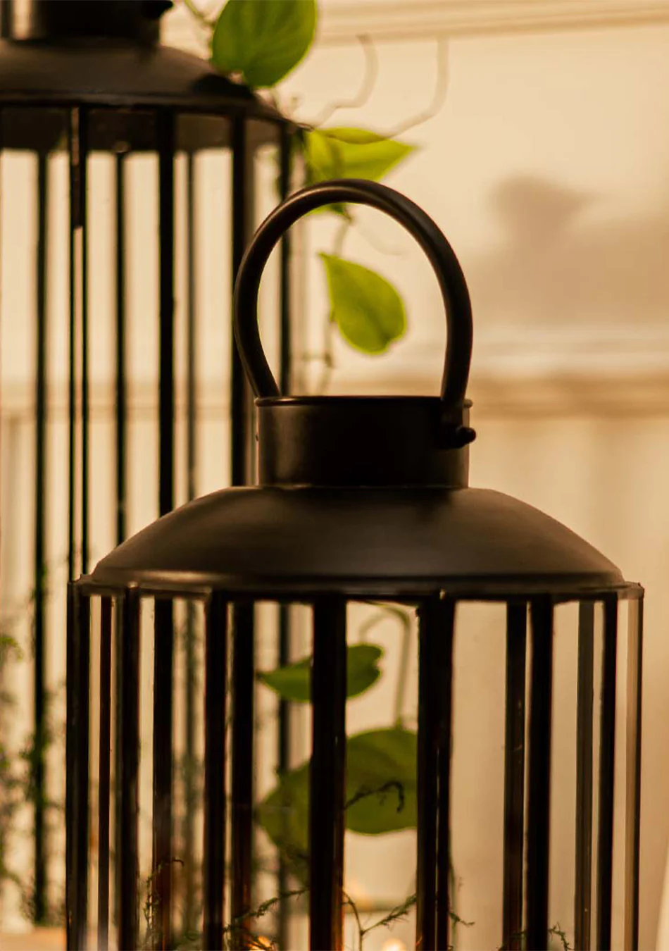Skye Lanterns - Image 10