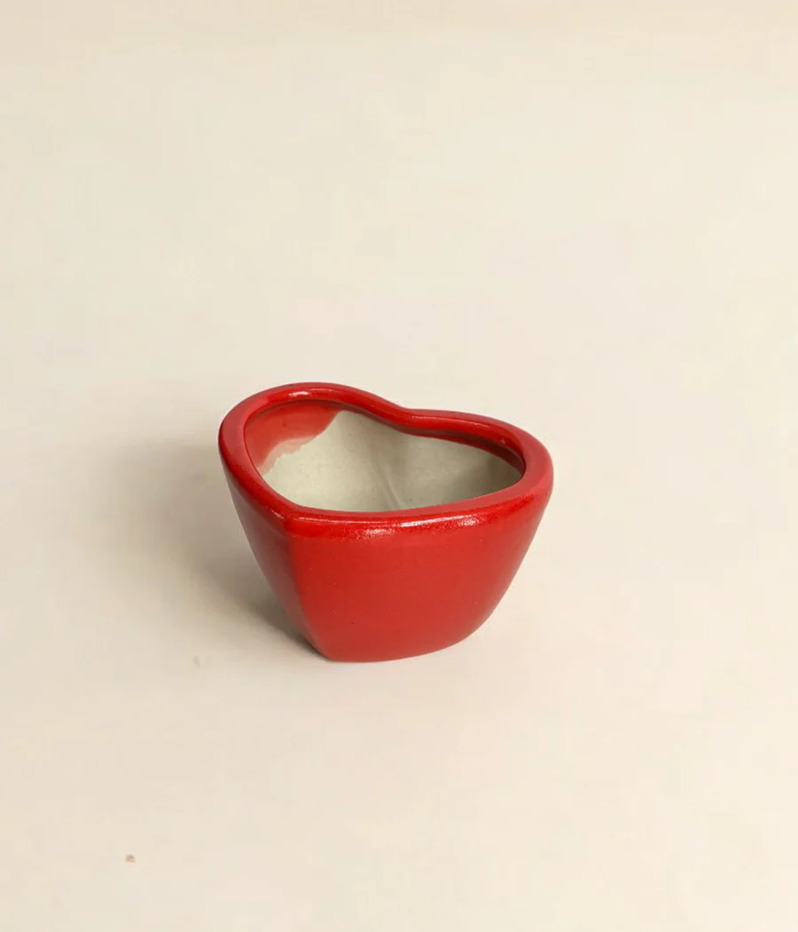 Small Heart Shaped Ceramic Planter - Image 3