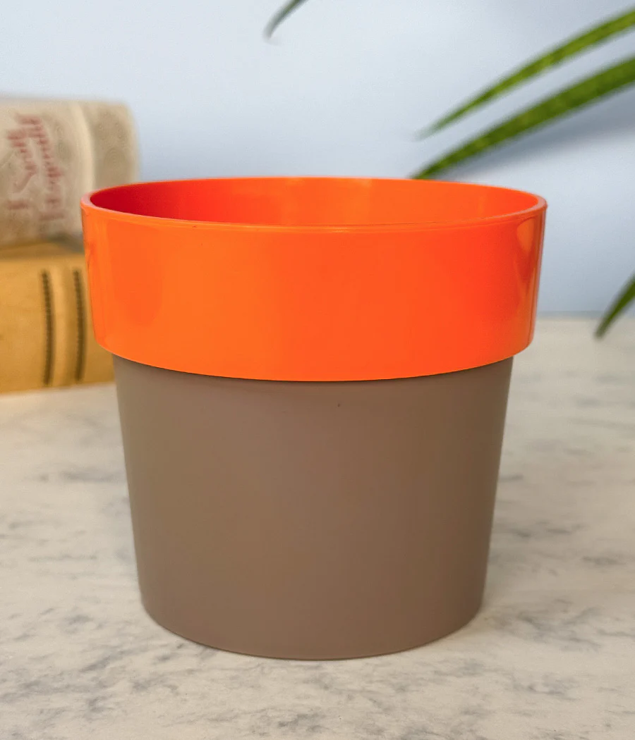 Sunny-side Planter - Image 11
