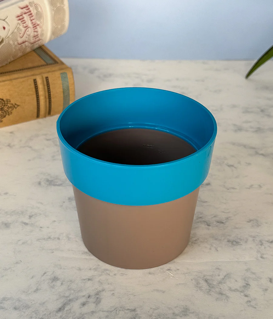 Sunny-side Planter - Image 13