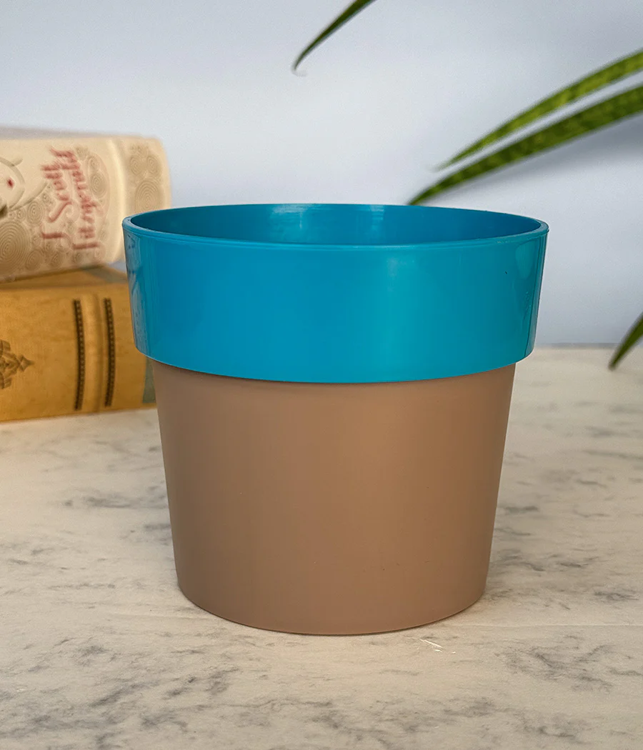 Sunny-side Planter - Image 15