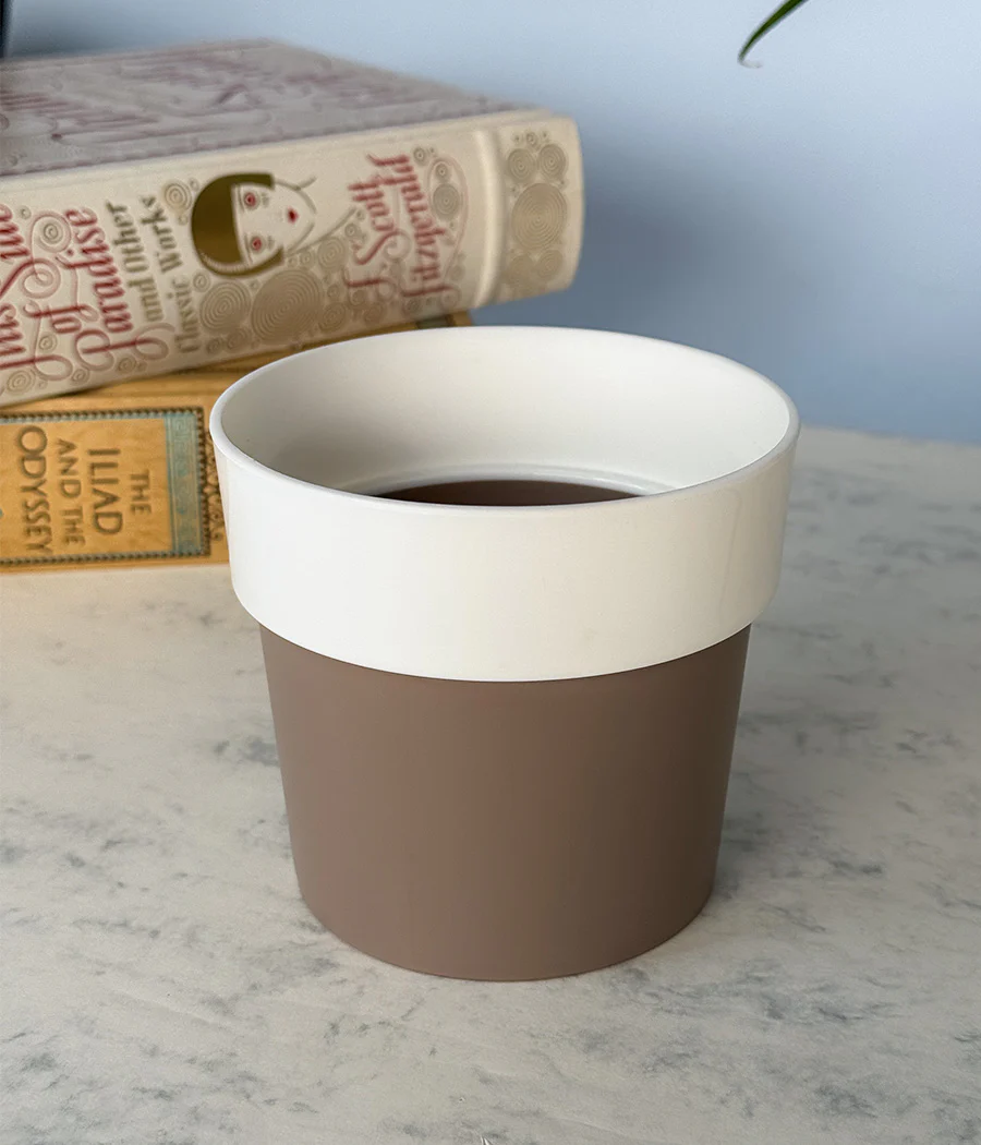 Sunny-side Planter - Image 2