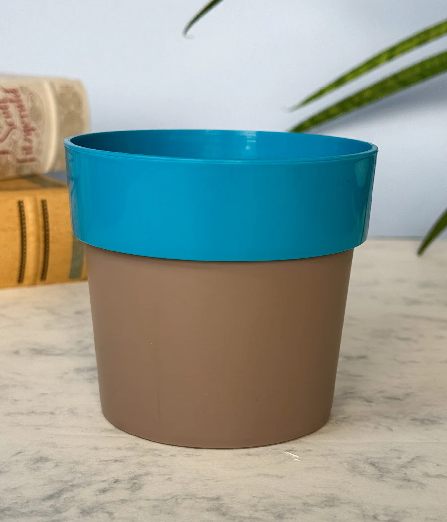 Sunny-side Planter - Image 3