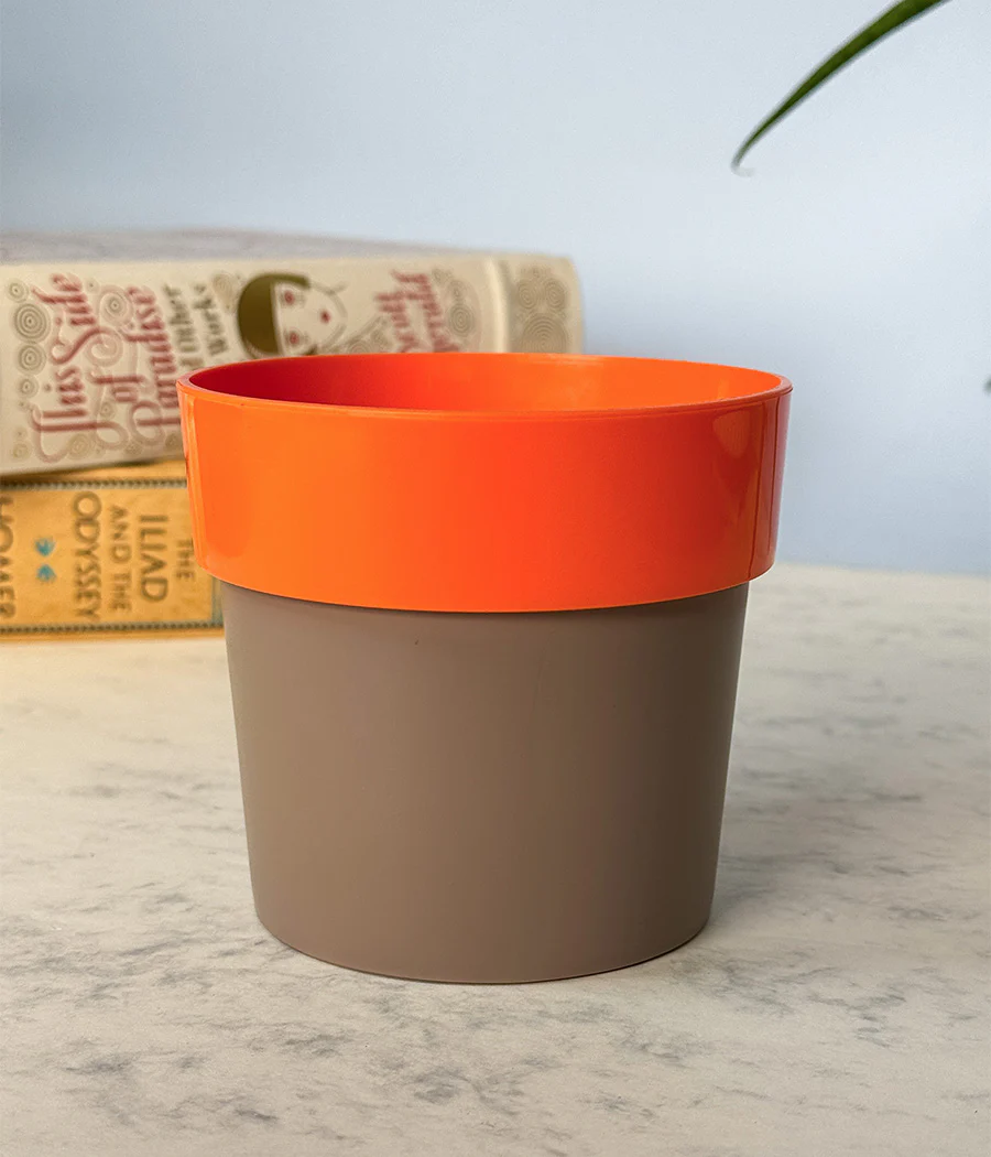 Sunny-side Planter - Image 4