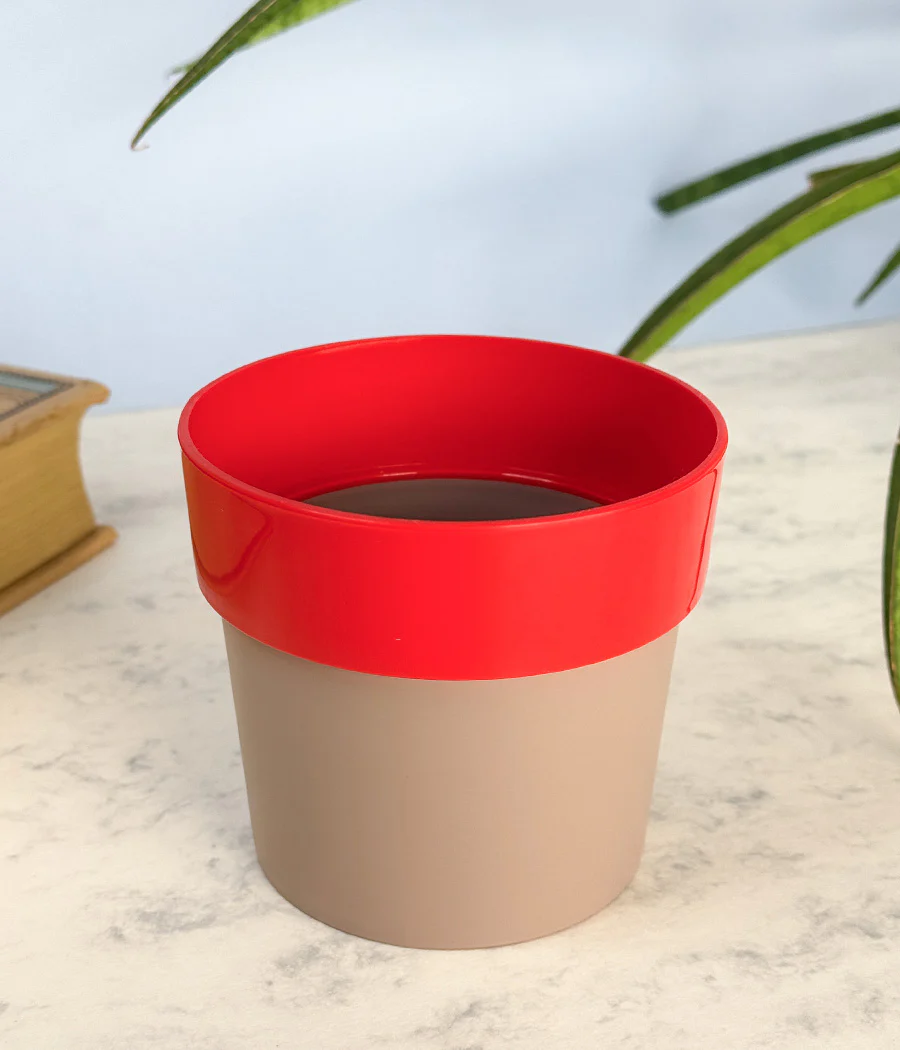 Sunny-side Planter - Image 5