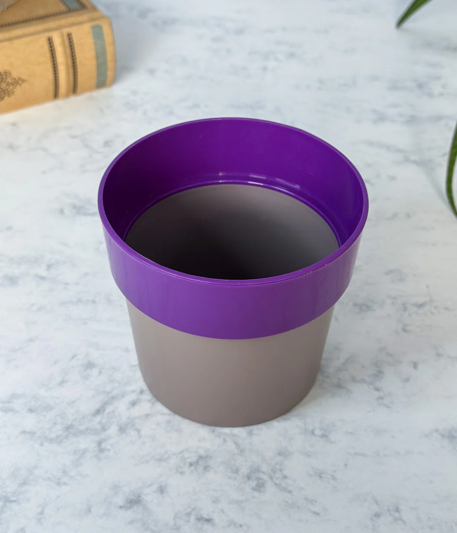 Sunny-side Planter - Image 6