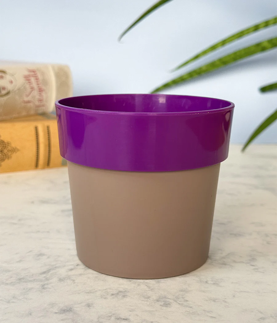 Sunny-side Planter - Image 7