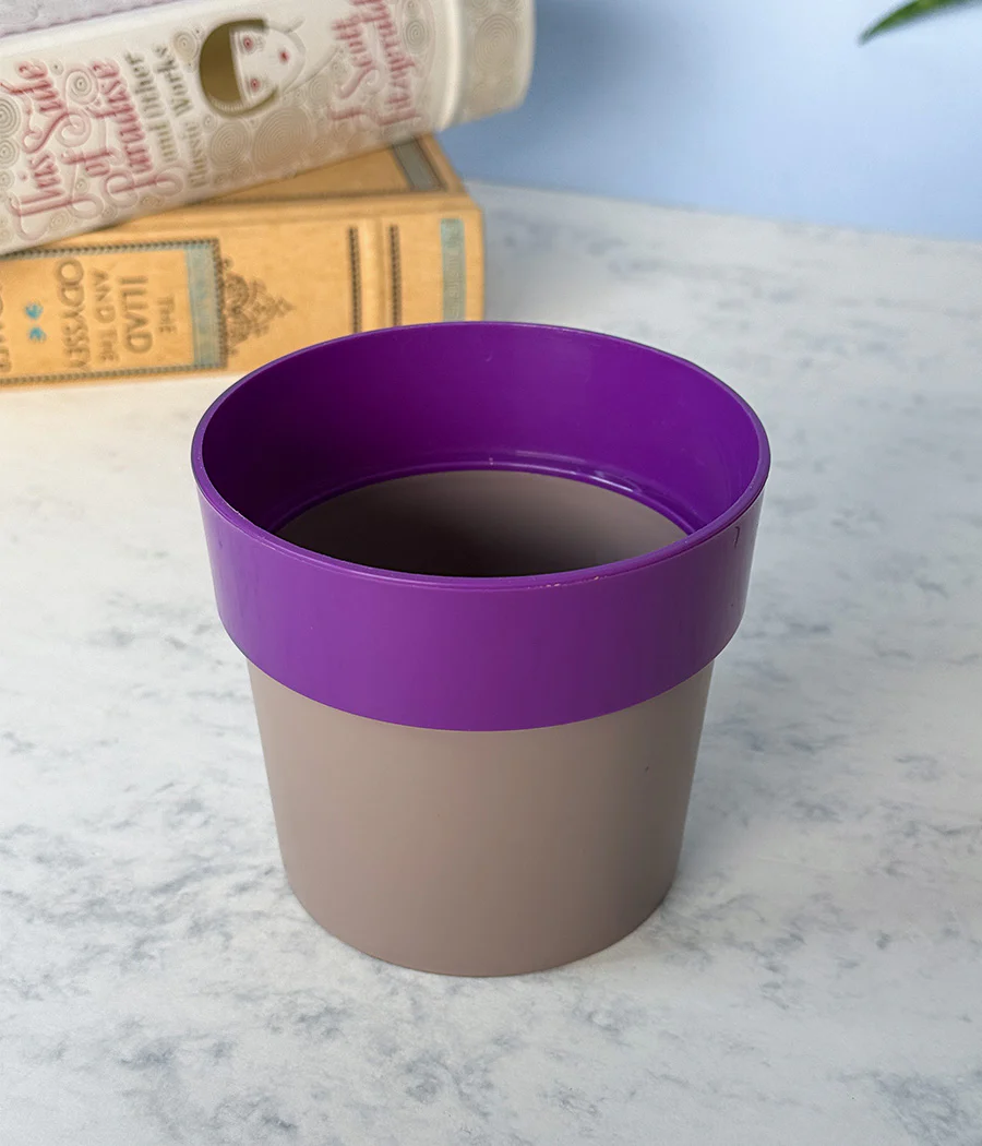 Sunny-side Planter - Image 8