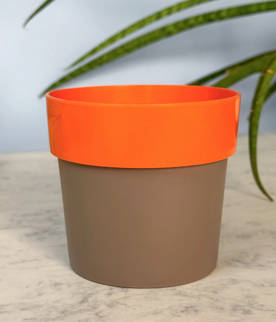 Sunny-side Planter - Image 9