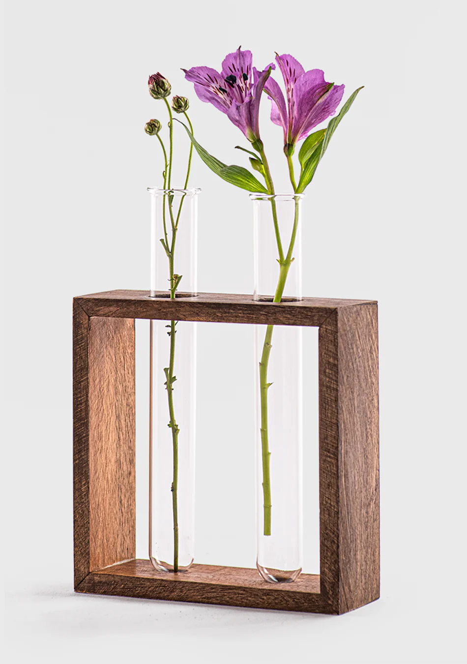 Twin Test Tube Planter with Wooden Stand