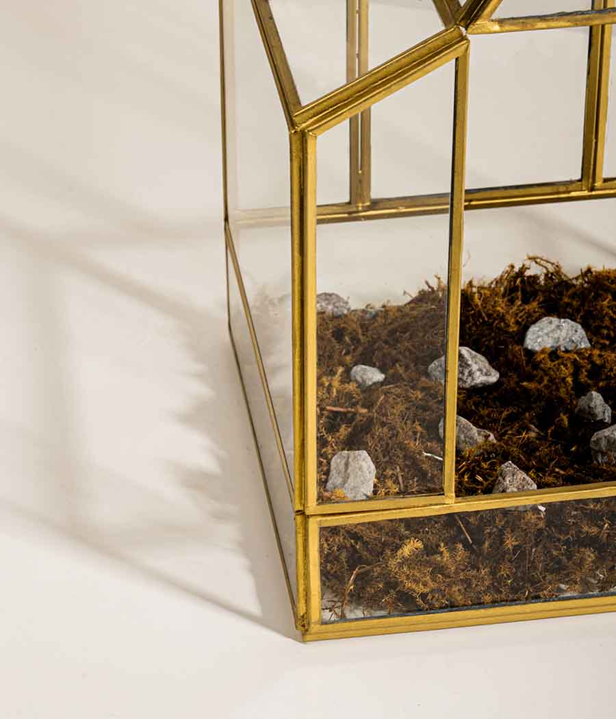 Vatican Terrarium - Image 4